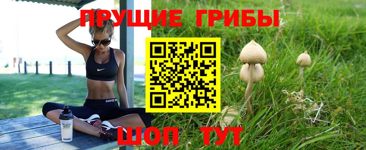 Галлюциногенные грибы GOLDEN TEACHER  Галлюциногенные грибы MAGIC MUSHROOMS  Вход с VPN  Славгород 